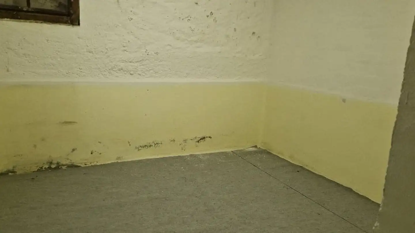 Espace de stockage à louer - Dornacherstrasse 203, 4053 Basel - Photo 4