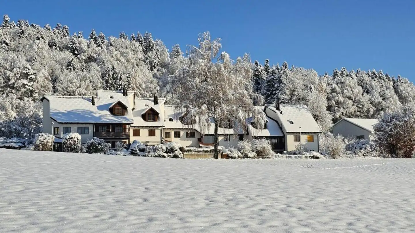 Stepped house for sale - Schönaustrasse 37, 8335 Hittnau