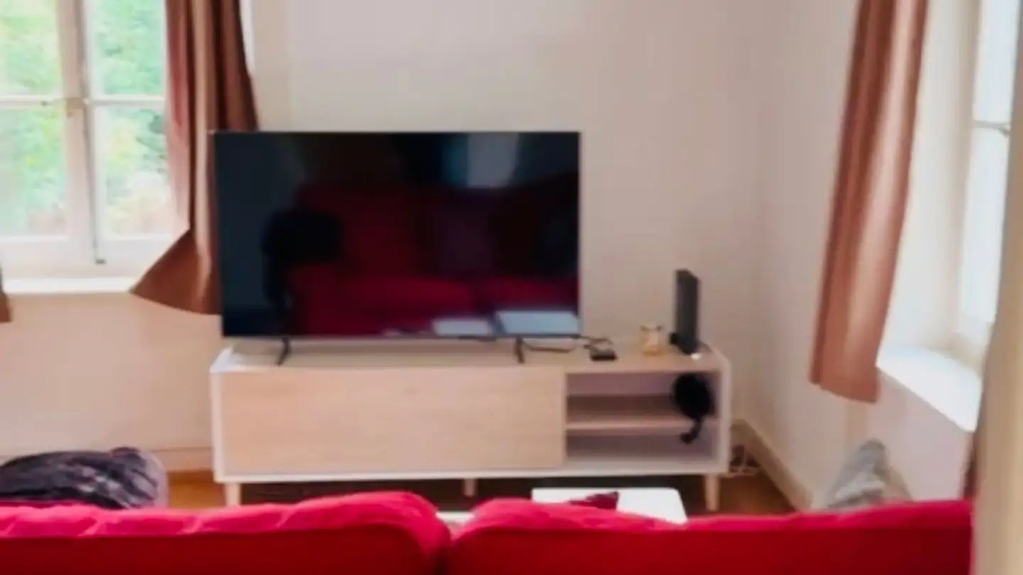 Appartement à louer - Rue Ancienne, 1227 Carouge GE