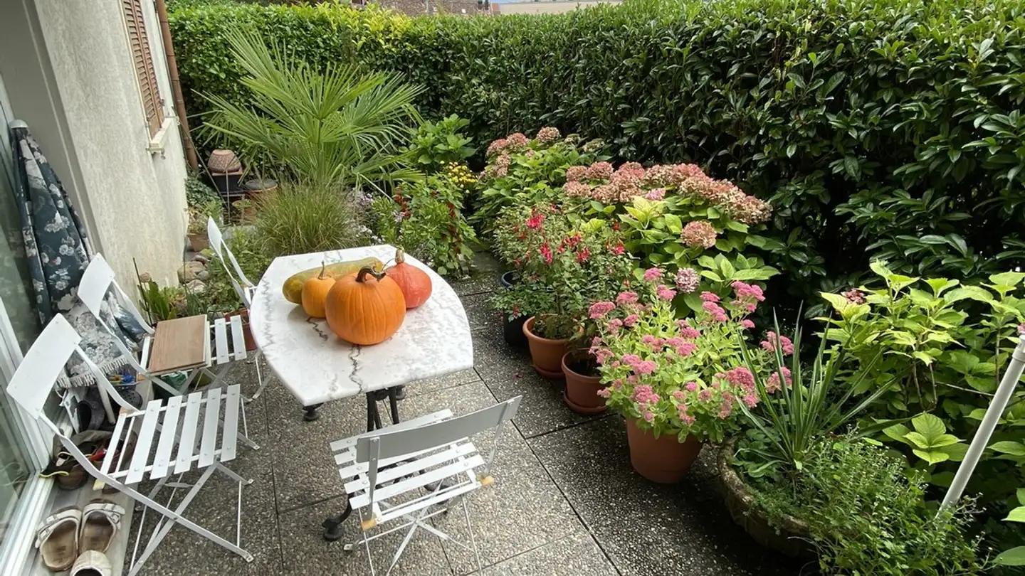 Appartamento in affitto - Seehaldenweg 39, 8706 Meilen - Foto 3
