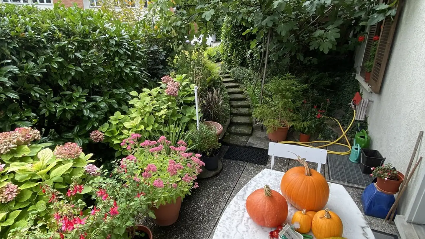 Appartamento in affitto - Seehaldenweg 39, 8706 Meilen - Foto 4