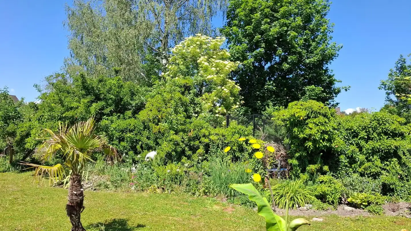 Casa singola in vendita - Im Geren 6, 8352 Elsau - Foto 3
