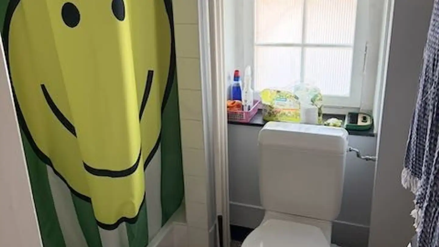 Stanza singola in affitto - Zollerstrasse 24, 8703 Erlenbach ZH - Foto 2