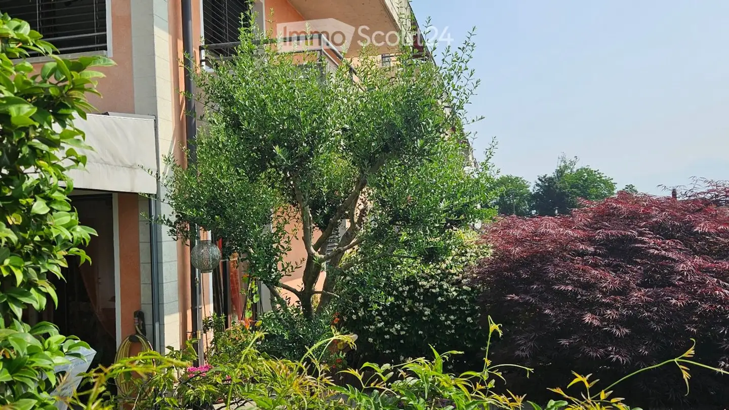 Appartamento in vendita - Summer Village 12, 6992 Vernate - Photo 3