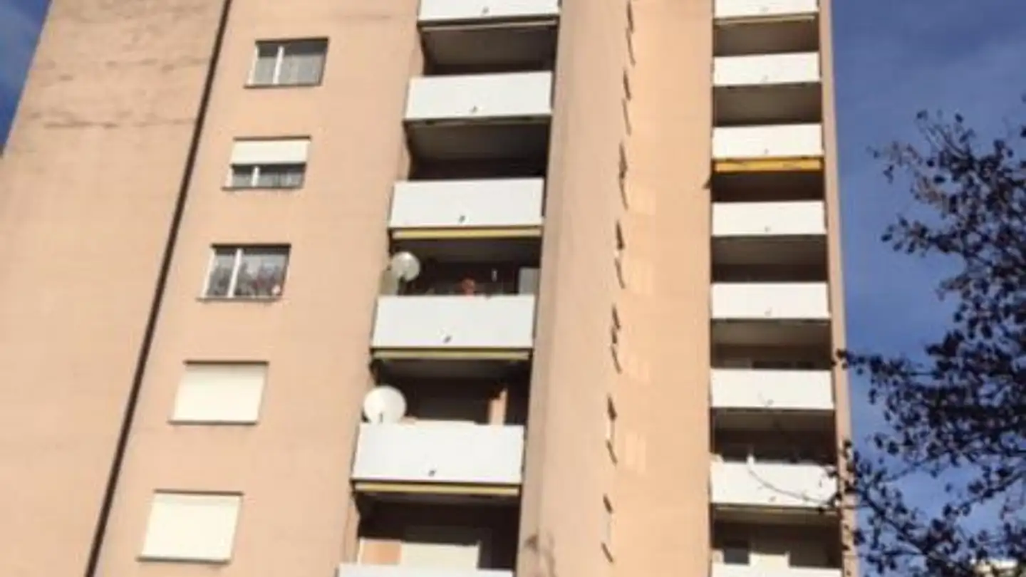 Appartamento in affitto - Wingertlistrasse 19, 8405 Winterthur