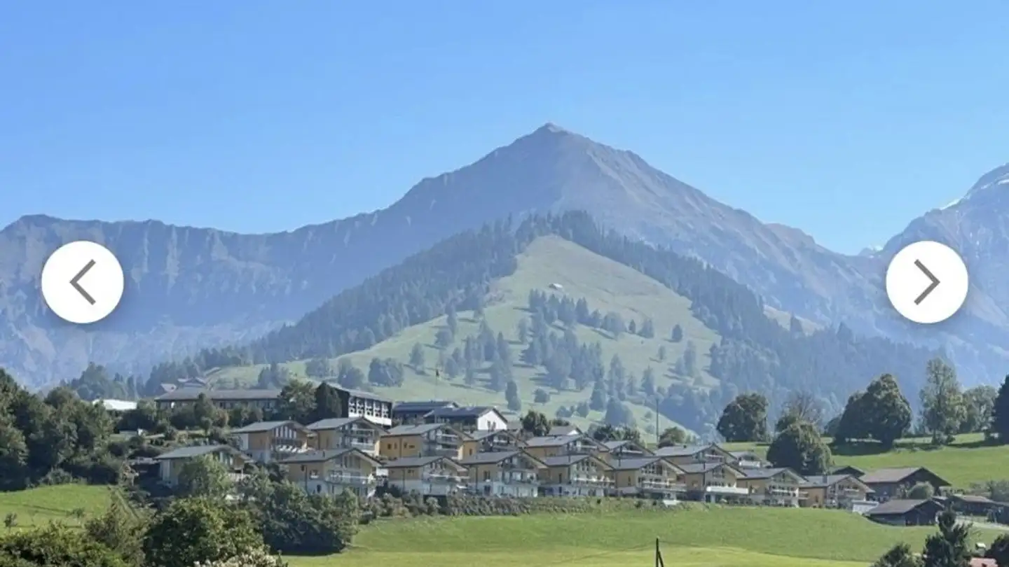 Stanza singola in affitto - 3703 Aeschi b. Spiez - Foto 4