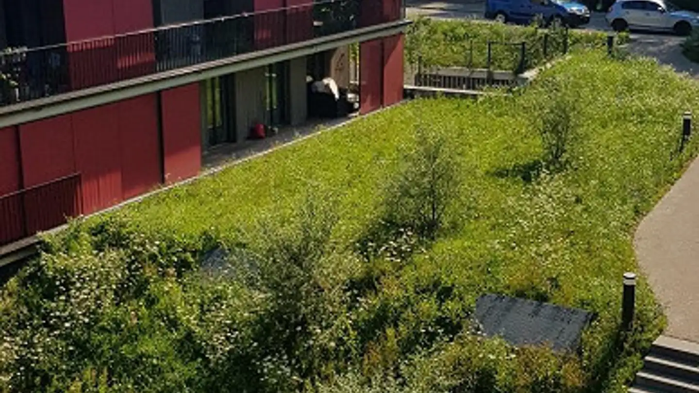 Wohnung mieten - Lettenstrasse 29, 8408 Winterthur