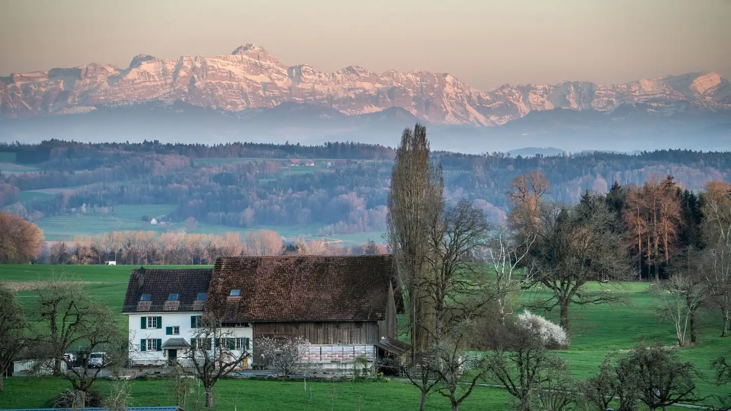 Maison individuelle à vendre - 8558 Raperswilen - Photo 2