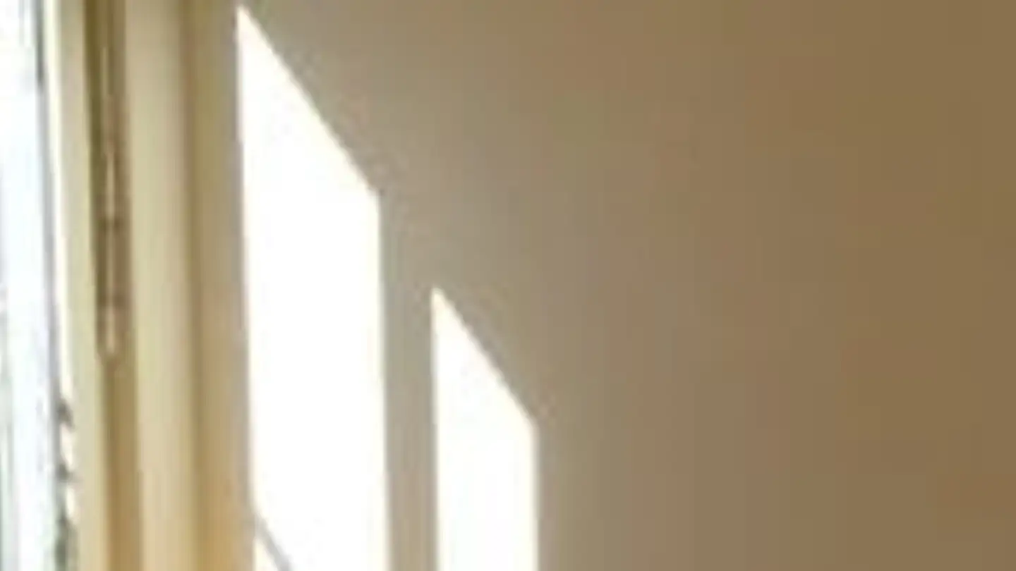 Appartement à louer - Rütistrasse 16, 5634 Merenschwand - Photo 3