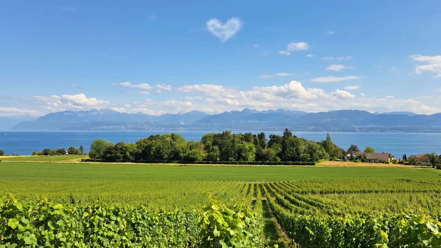 Appartamento in affitto - Chemin Des Vignes, 1195 Dully