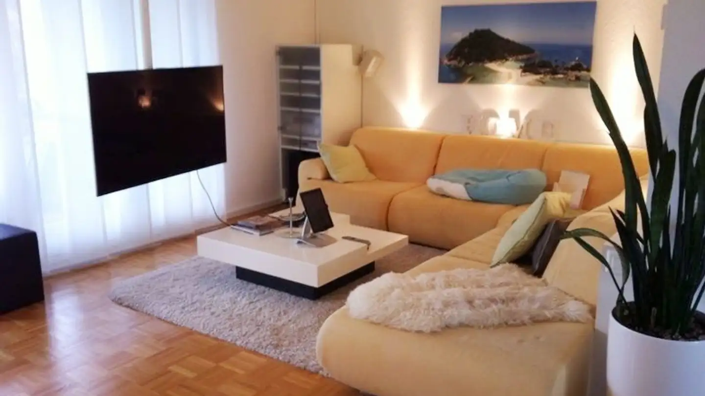 Appartamento in affitto - Ruchwiesenstrasse 46, 8404 Winterthur - Foto 2