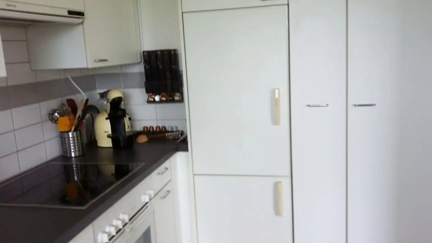 Appartamento in affitto - Ruchwiesenstrasse 46, 8404 Winterthur - Foto 3