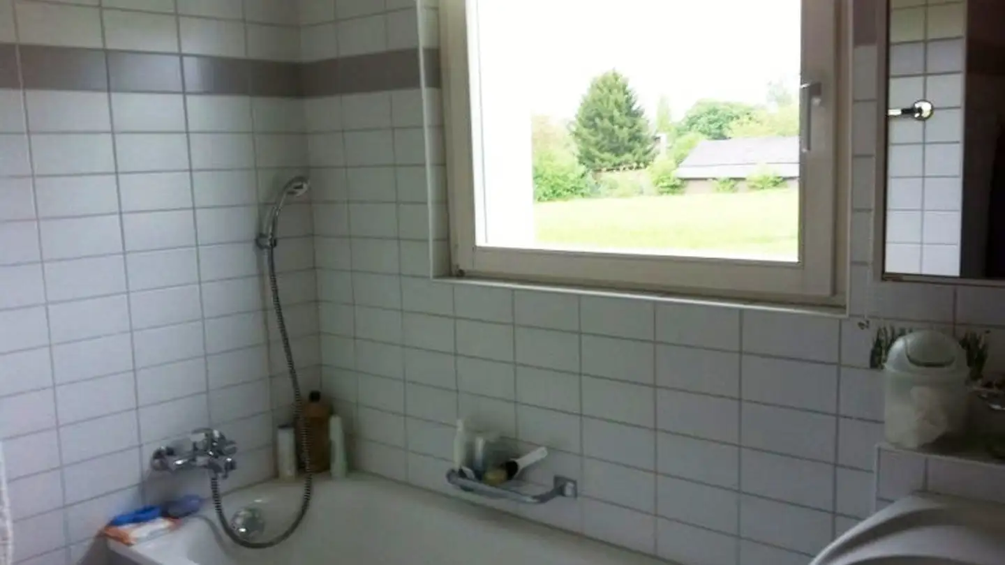 Appartamento in affitto - Ruchwiesenstrasse 46, 8404 Winterthur - Foto 4