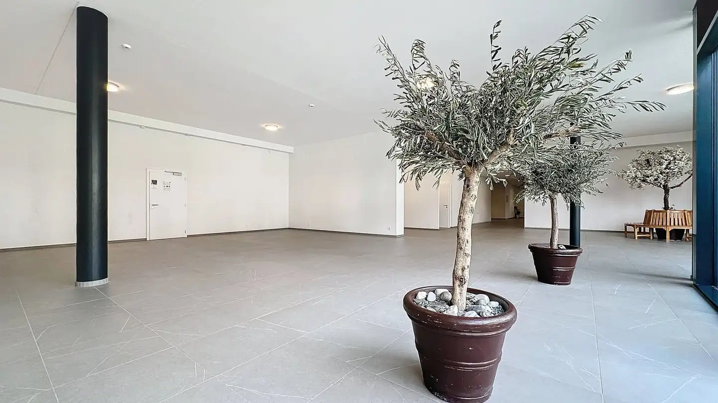 Portico in affitto - Route Du Léman 29, 1907 Saxon - Photo 3