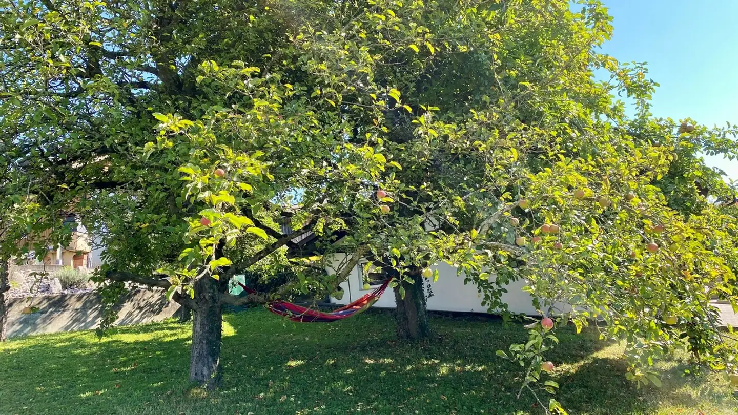 Edificio residenziale in vendita - Niederdorf 4, 4254 Liesberg Dorf - Photo 3