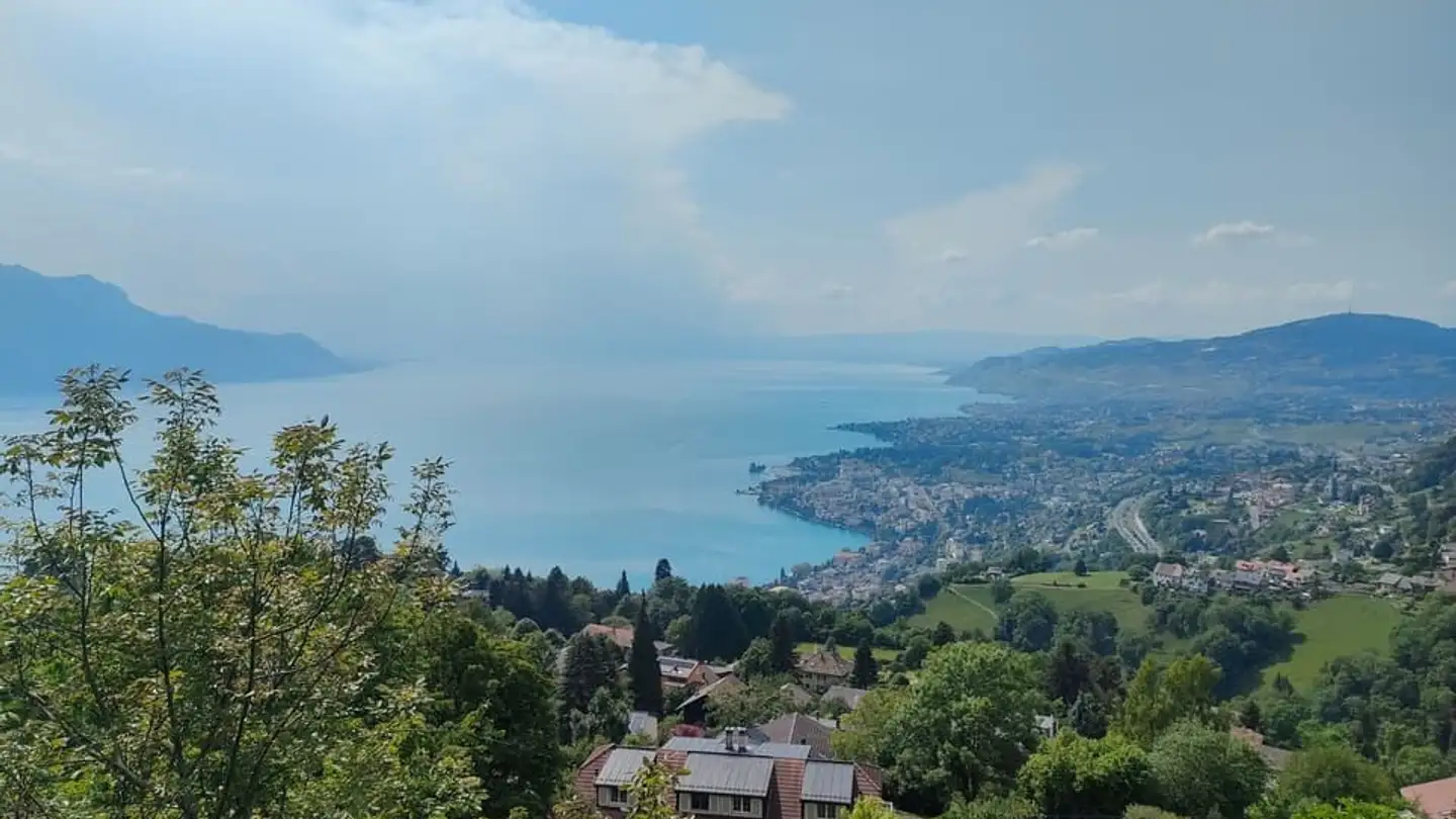 Bauland kaufen - 1823 Glion - Foto 2