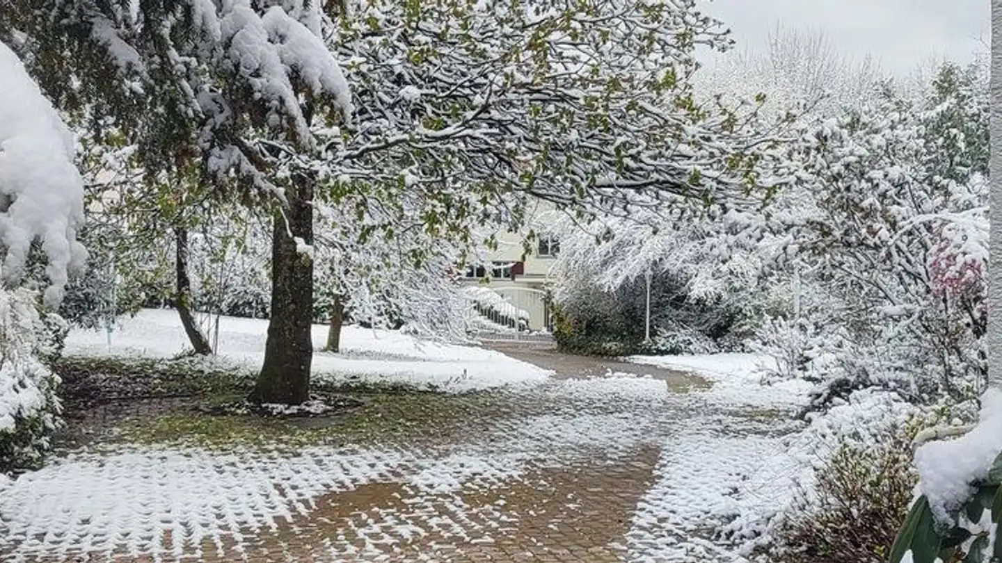 Villa kaufen - Schützenwies 7, 8926 Kappel am Albis - Foto 3