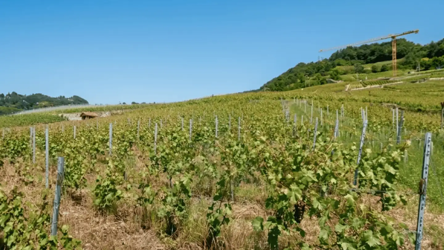 Constructible plot for sale - 1097 Riex