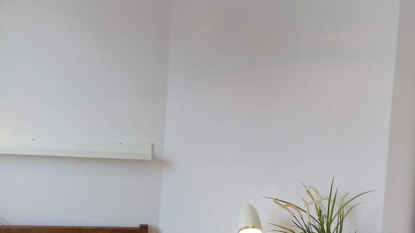 Single room for rent - Färberstrasse, 4057 Basel - Photo 3