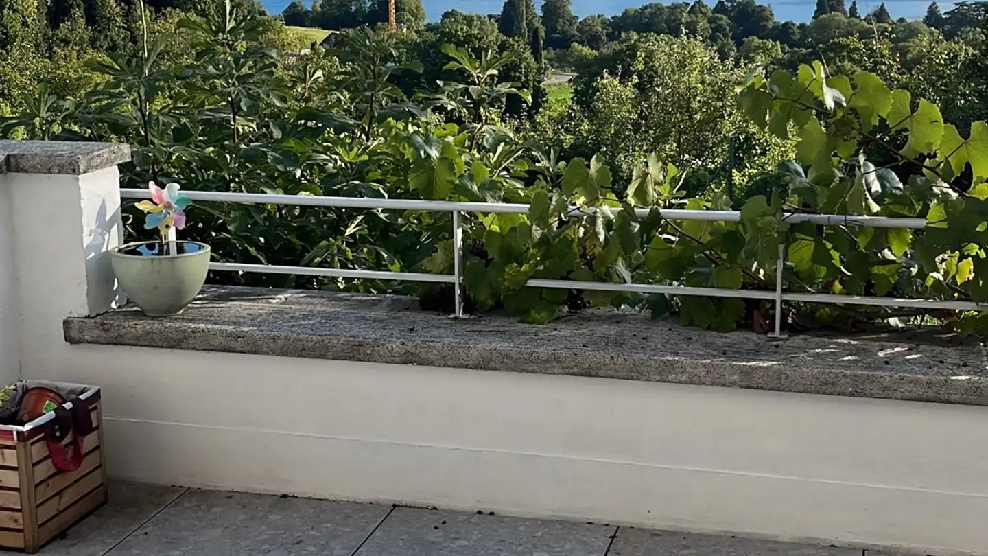 Zimmer mieten - 1807 Blonay