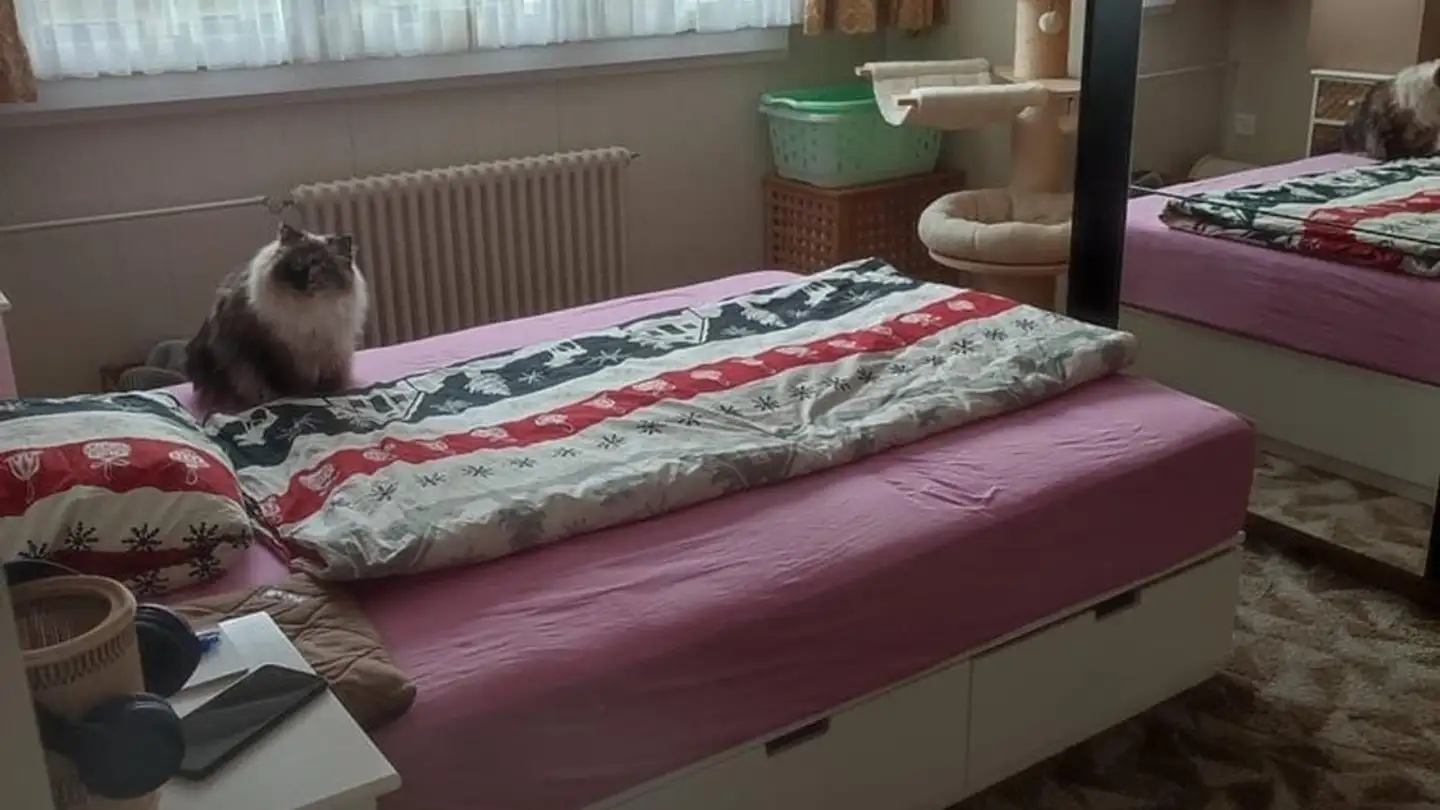 Wohnung mieten - Hauptstrasse 74, 9658 Wildhaus - Foto 3