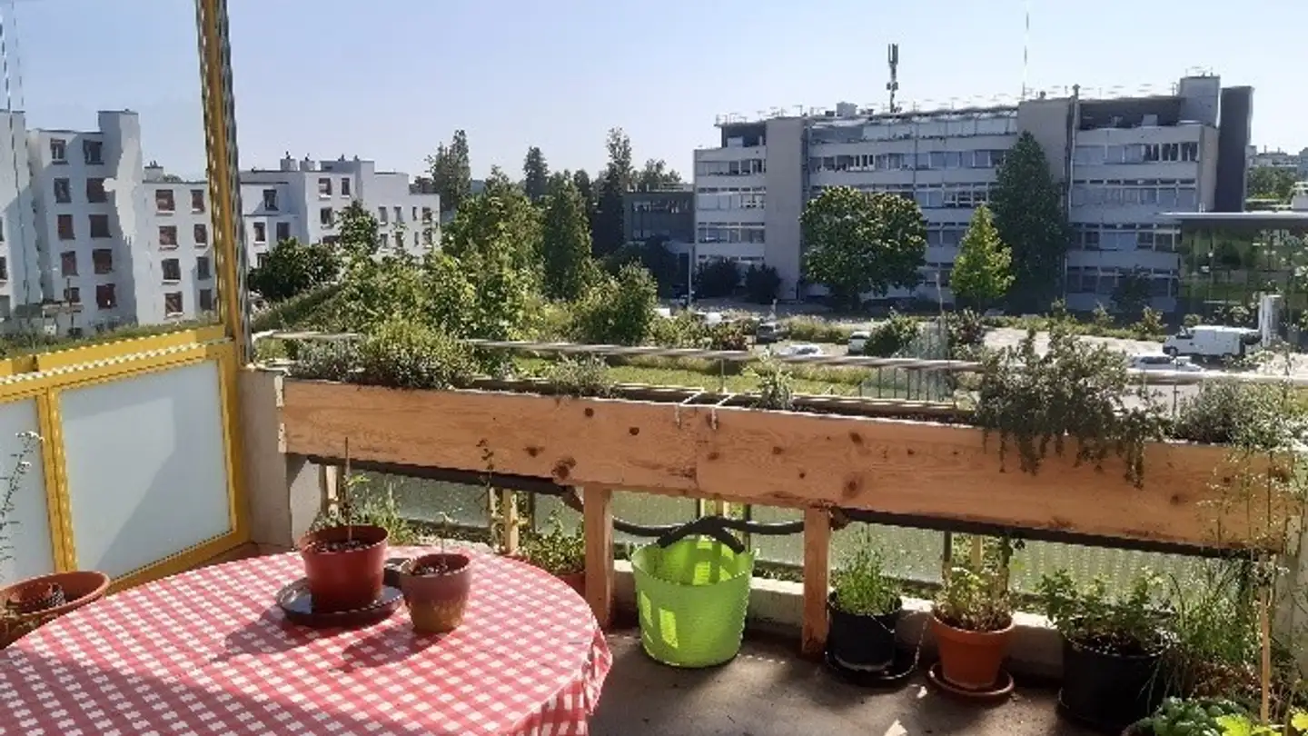 Chambre à louer - Im Park 4, 3052 Zollikofen - Photo 4