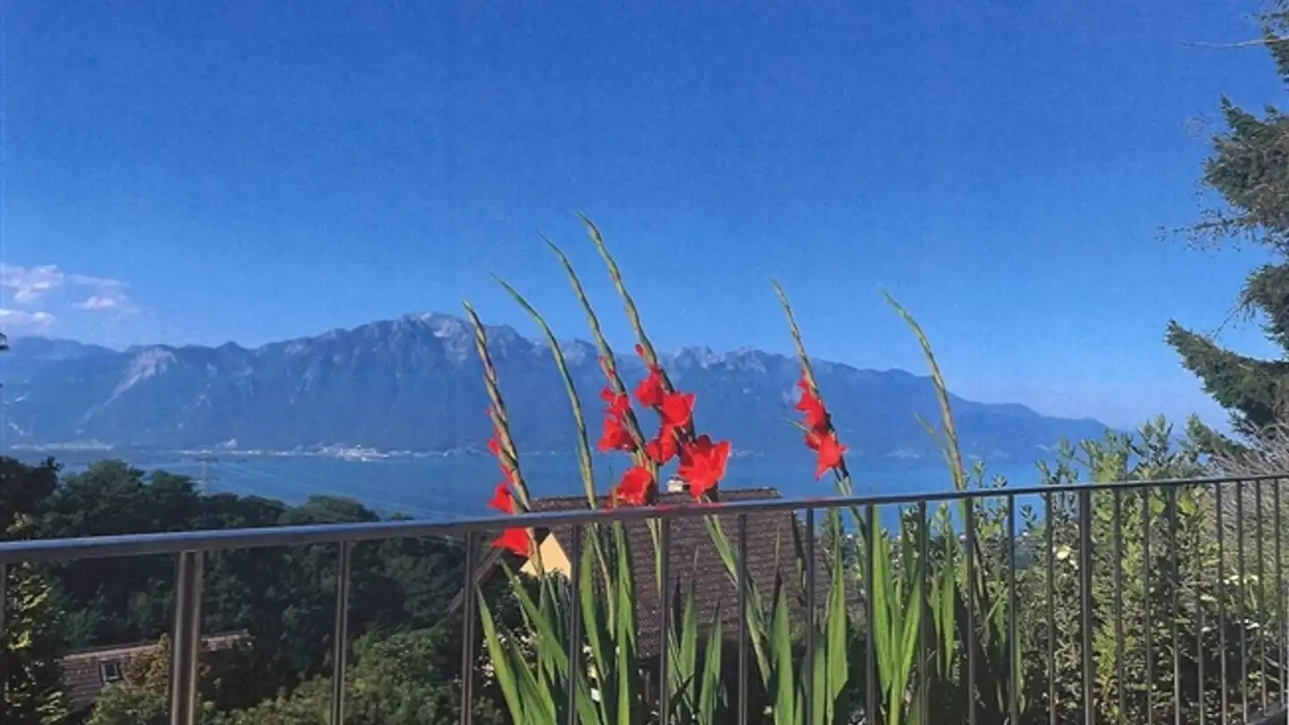 Casa singola in affitto - Chemin Du Béviaux 5, 1807 Blonay - Photo 2