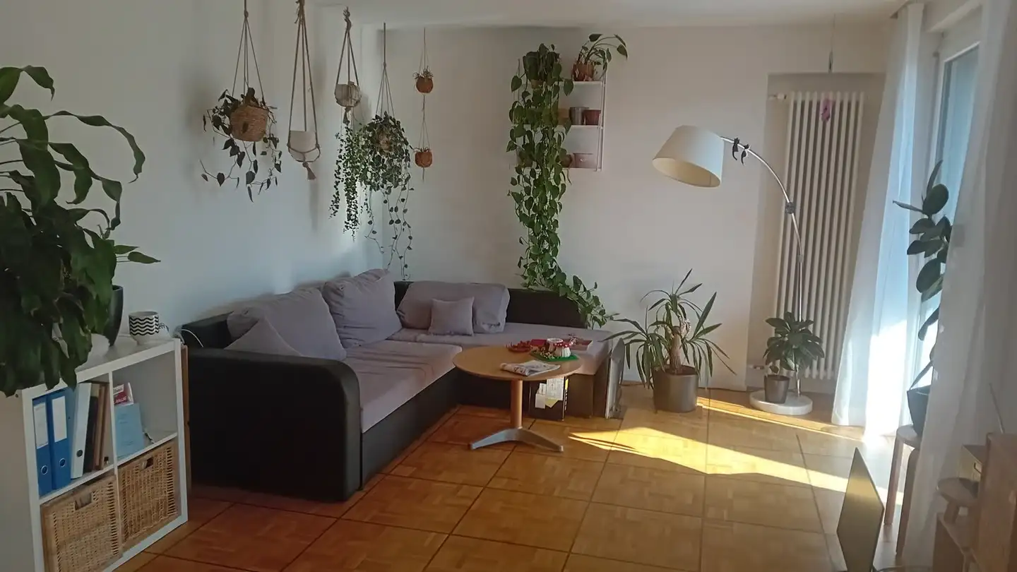 Wohnung mieten - Lindstrasse 41, 8400 Winterthur