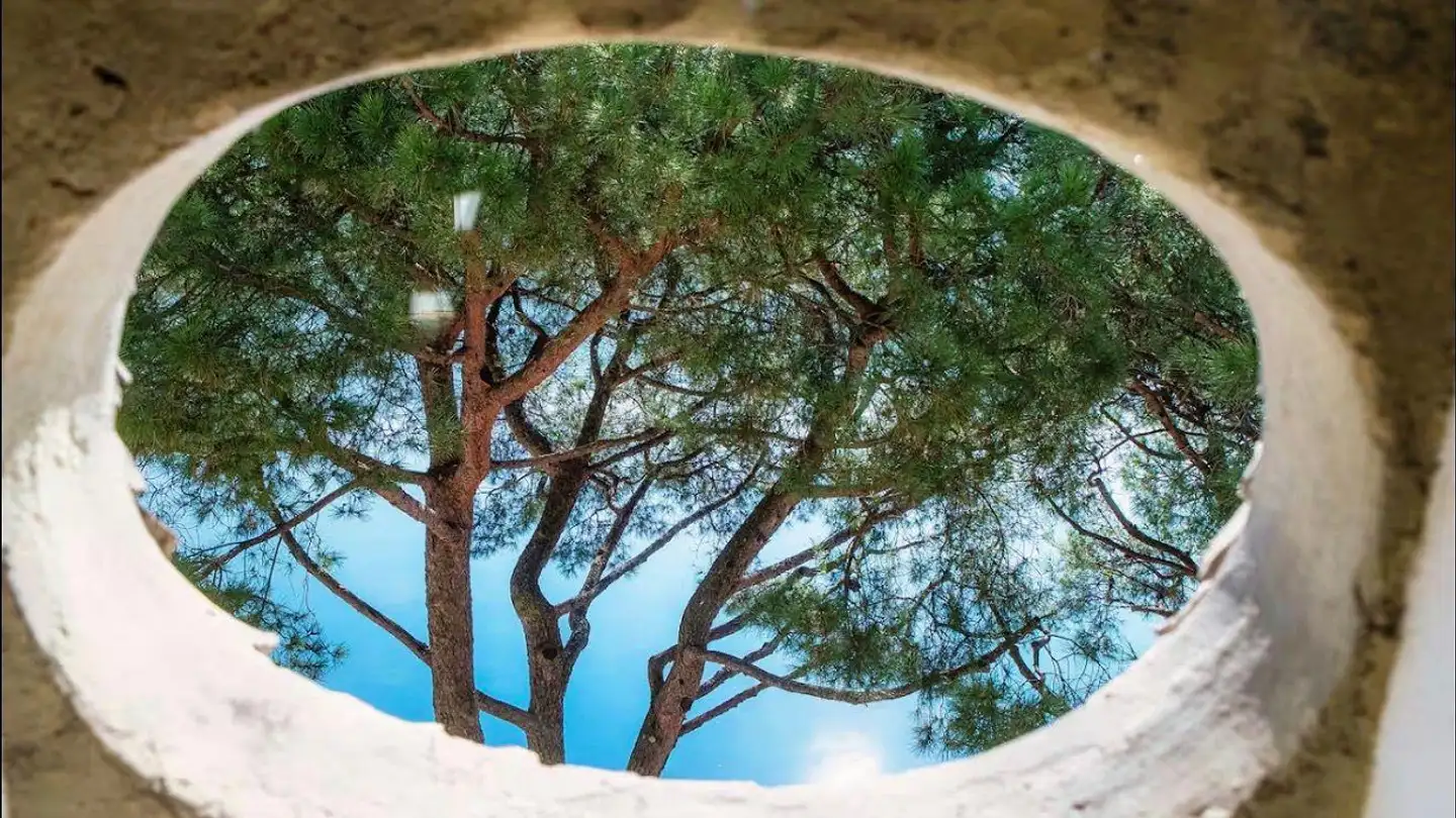 Appartamento in affitto - 6922 Morcote