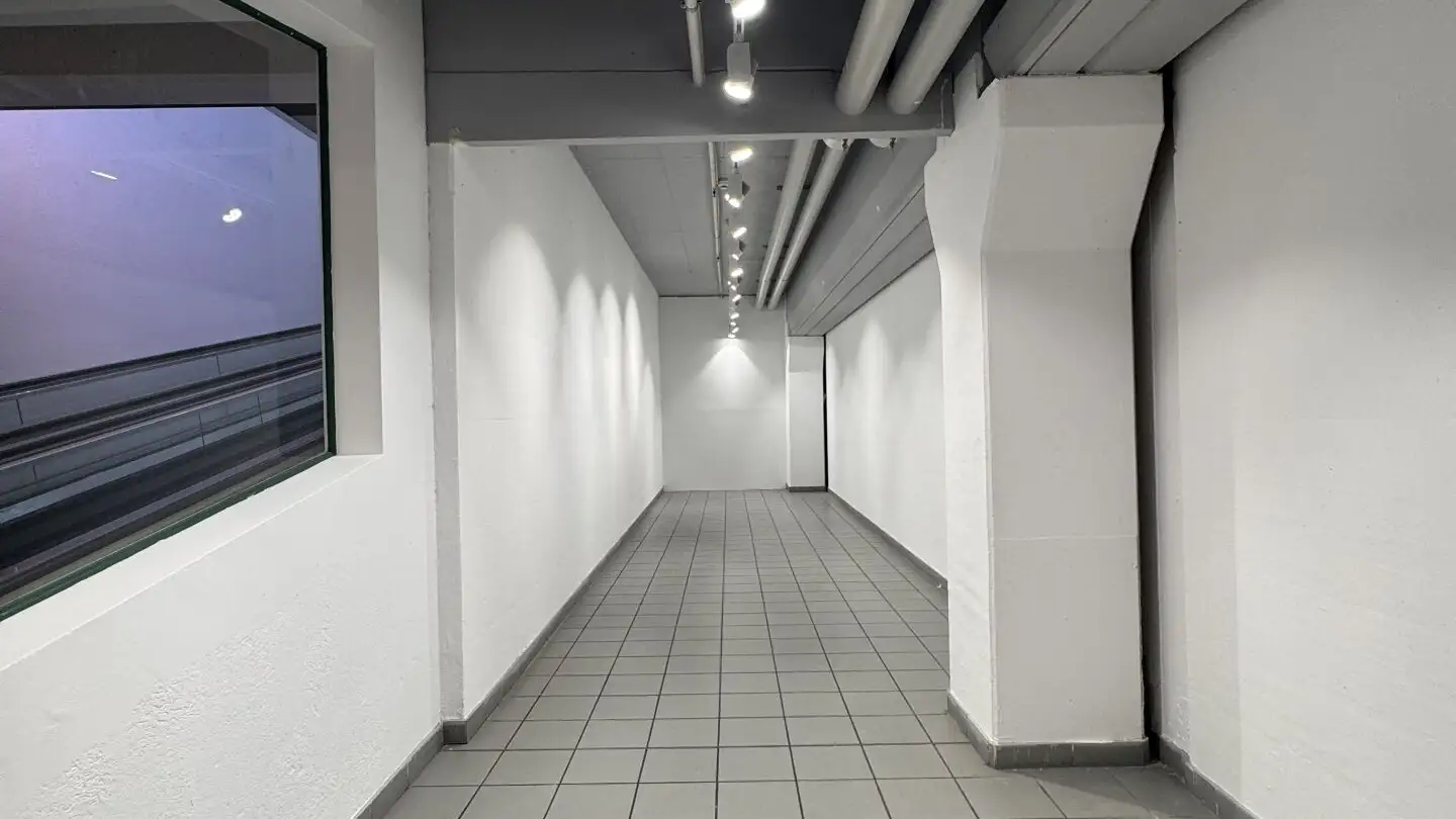 Magasin à louer - 6916 Grancia