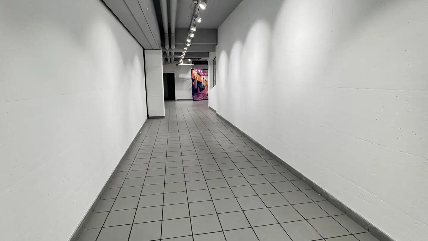 Magasin à louer - 6916 Grancia - Photo 4