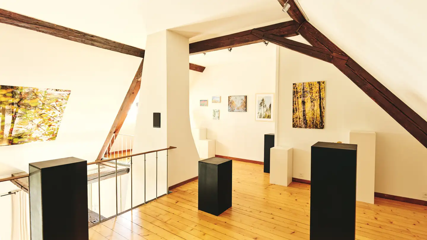 Einfamilienhaus kaufen - Chemin Du Brit 19, 1680 Romont FR - Foto 4