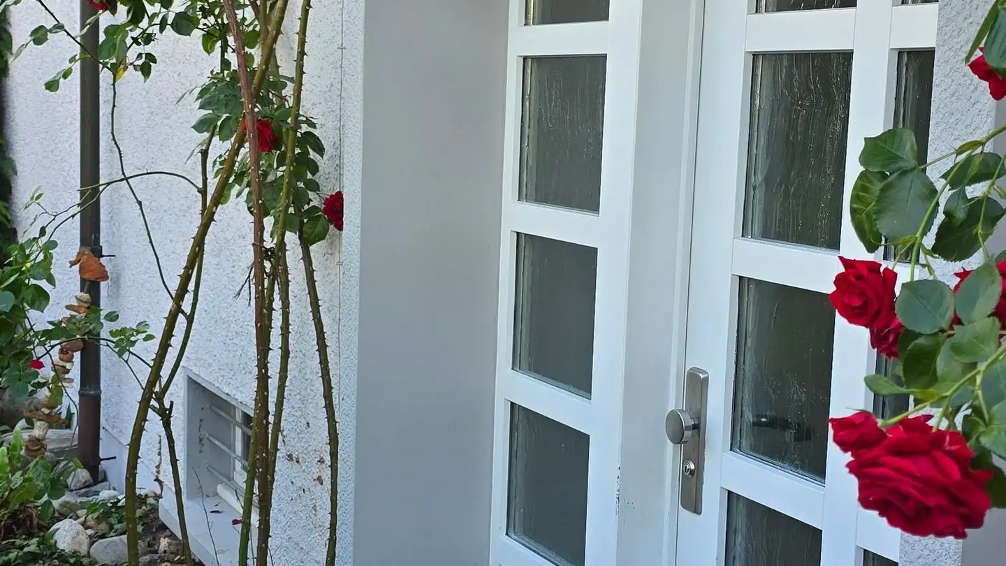 Casa singola in vendita - Birkenweg 6, 4663 Aarburg - Foto 4