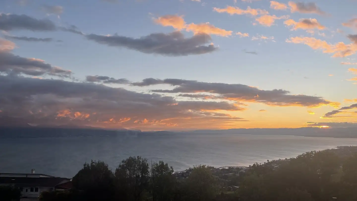 Appartement à louer - 1090 La Croix (Lutry) - Photo 4