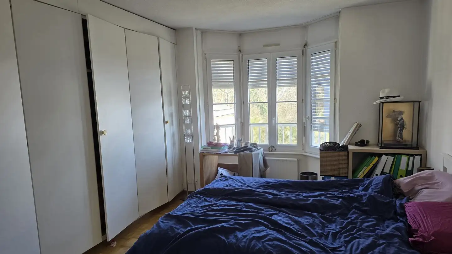 Wohnung mieten - 1234 Vessy - Foto 4