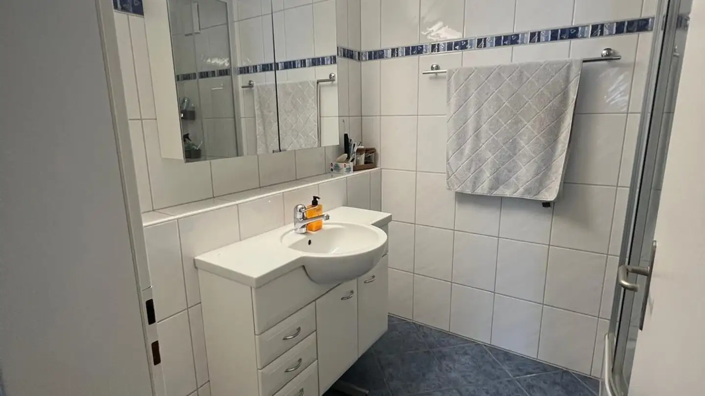 Single room for rent - 8964 Rudolfstetten - Photo 3