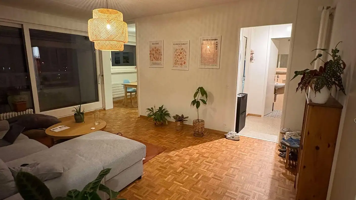 Appartamento in affitto - Chemin Du Devin, 1012 Lausanne