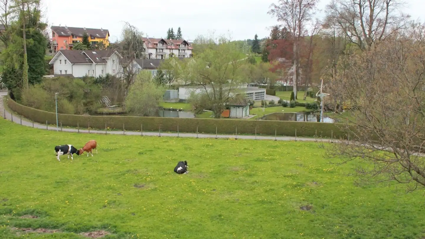 Appartamento in affitto - 9213 Hauptwil - Foto 2