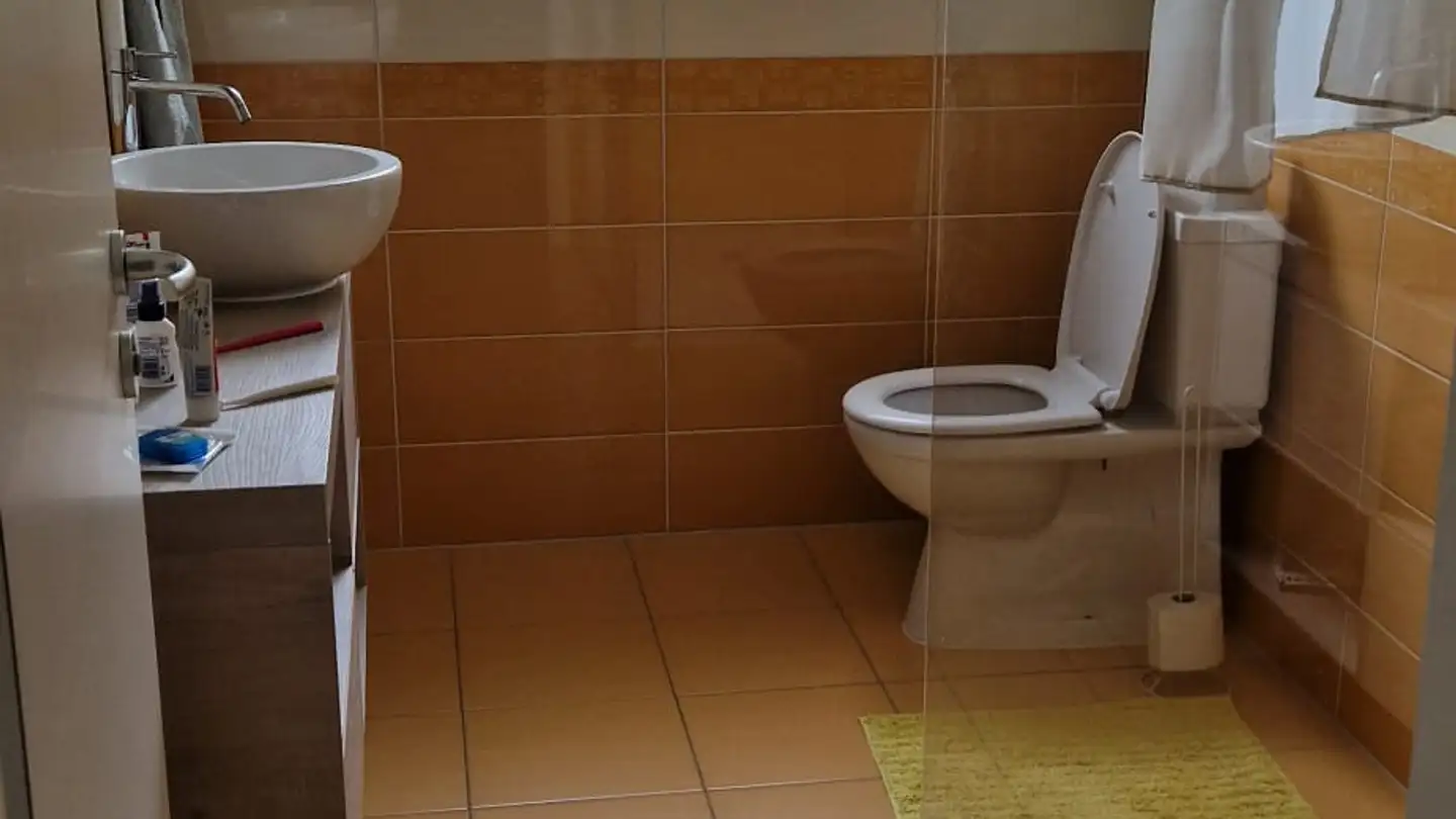 Einfamilienhaus kaufen - In Di Campagn 31, 6528 Camorino - Foto 4