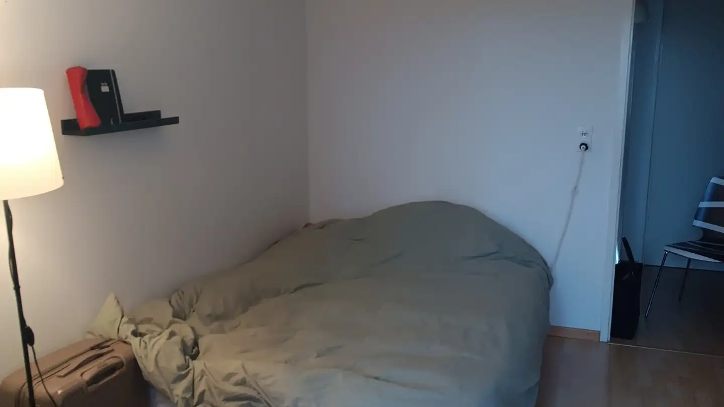 Single room for rent - Rautistrasse 363, 8048 Zürich