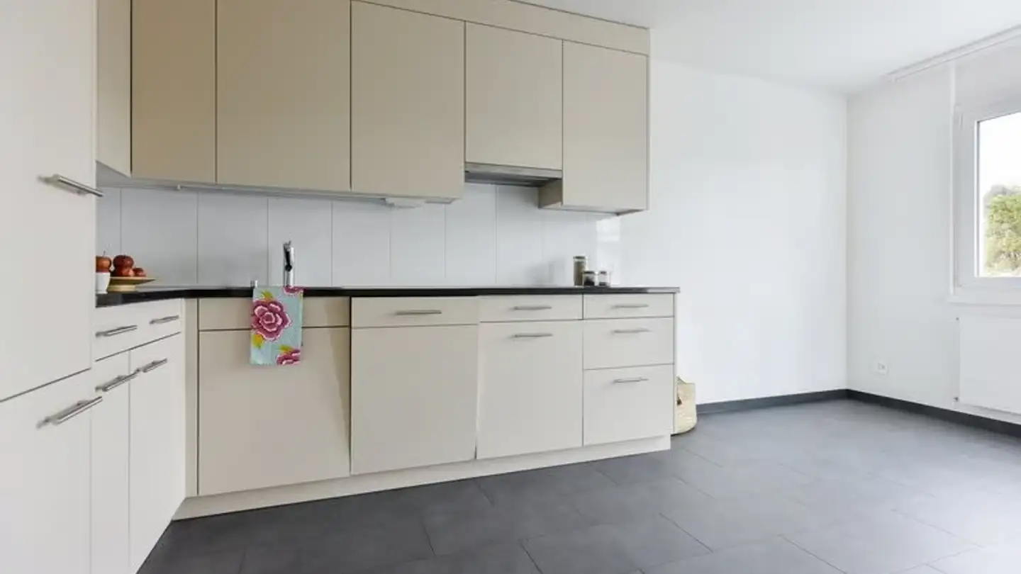 Appartamento in affitto - Wehntalerstrasse 596b, 8046 Zürich - Foto 3