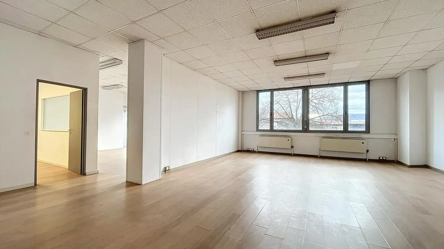 Office space for rent - Rue Du Cardinal- Journet 27, 1217 Meyrin