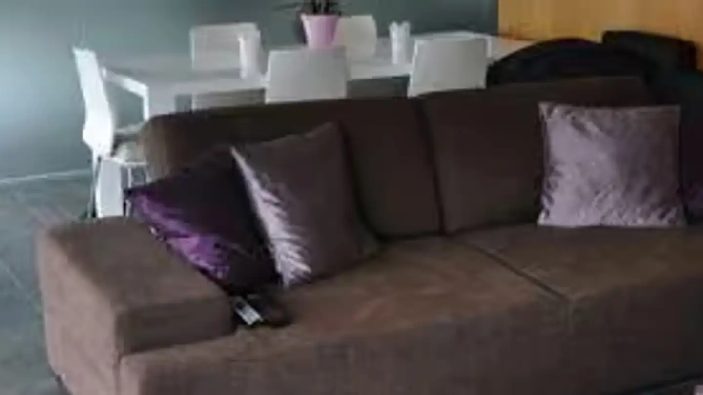 Appartamento in affitto - Frauentalweg 110, 8045 Zürich - Foto 2