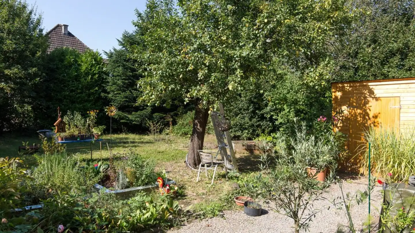 Appartamento in affitto - Alberich Zwyssigstrasse 35, 5430 Wettingen