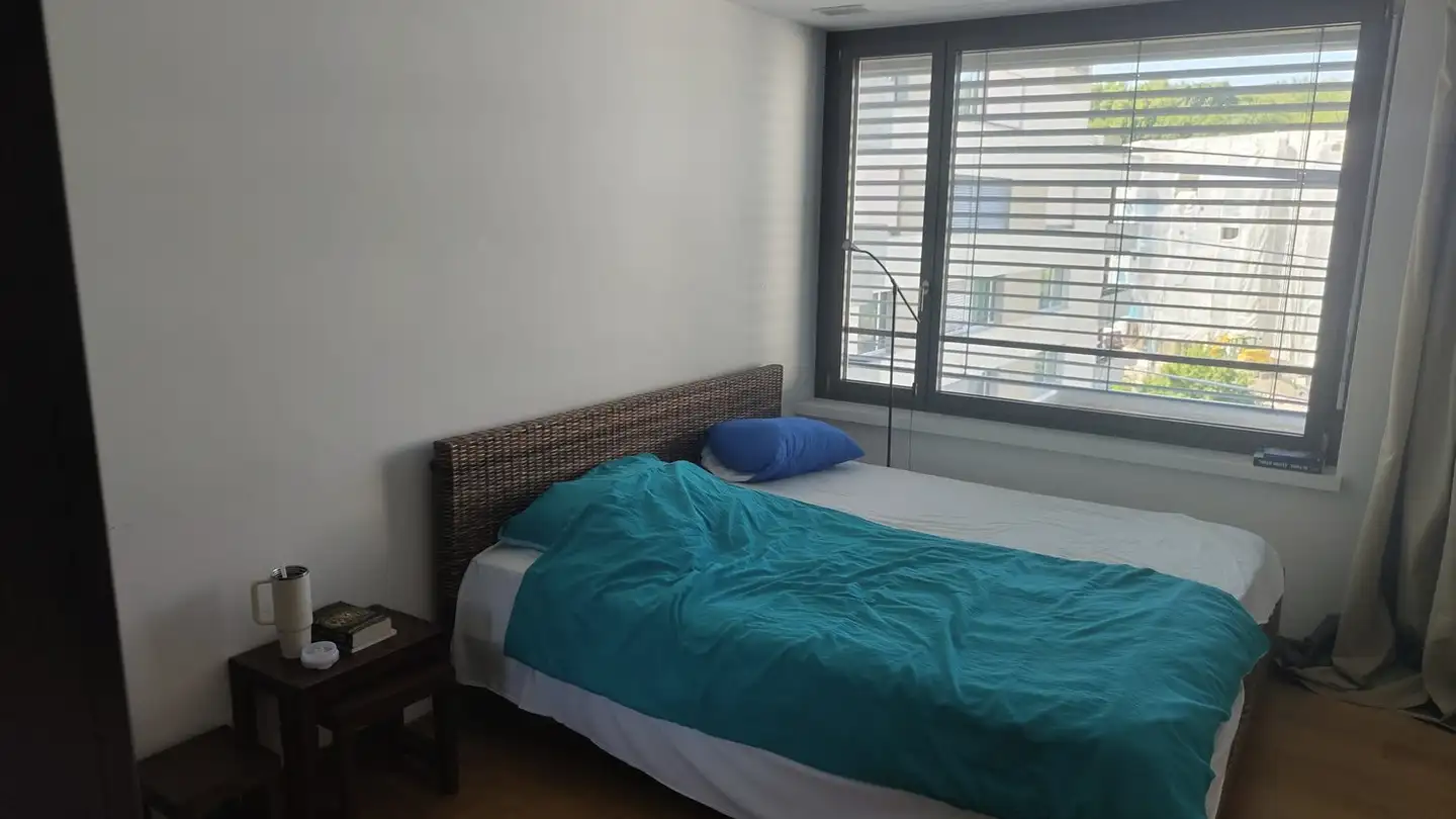 Appartamento ammobiliato in affitto - Heerenschürlistrasse 8, 8051 Zürich