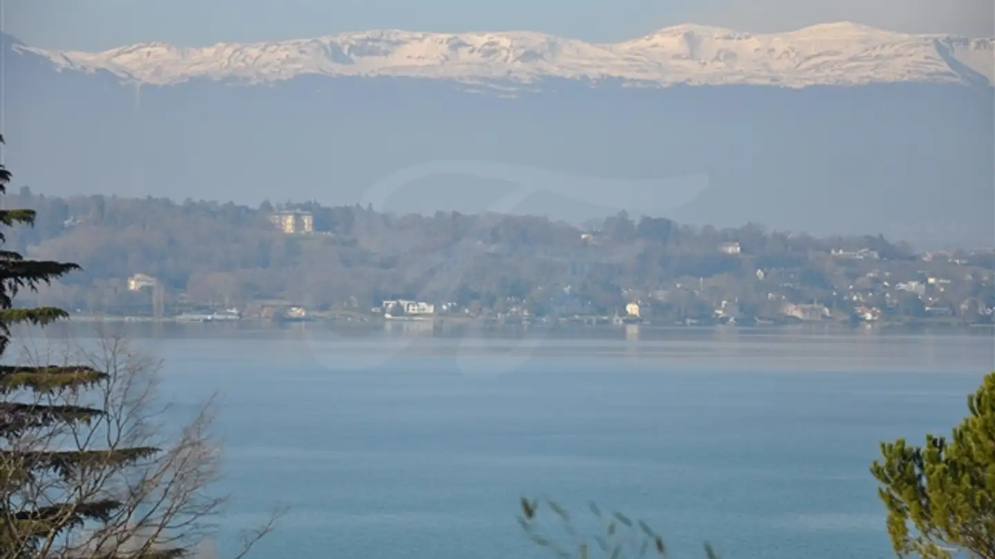 Single house for sale - 1204 Genève