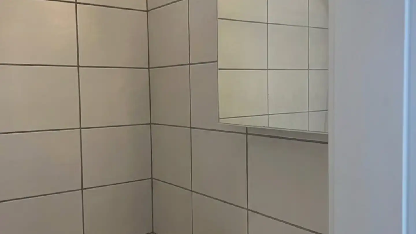 Wohnung mieten - Oltnerstrasse 133, 4663 Aarburg - Foto 4