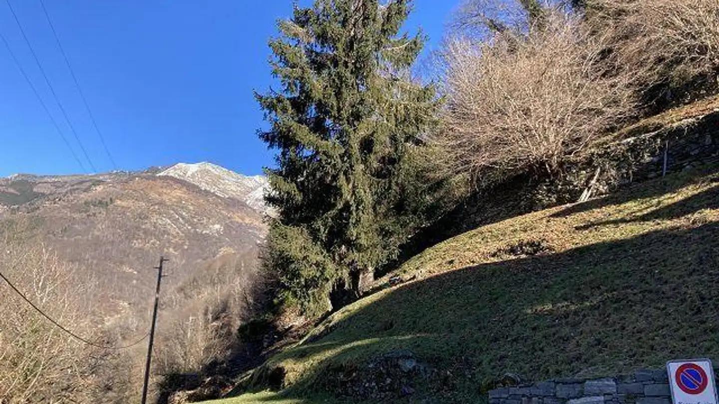 Terrain constructible à vendre - 6632 Vogorno - Photo 2