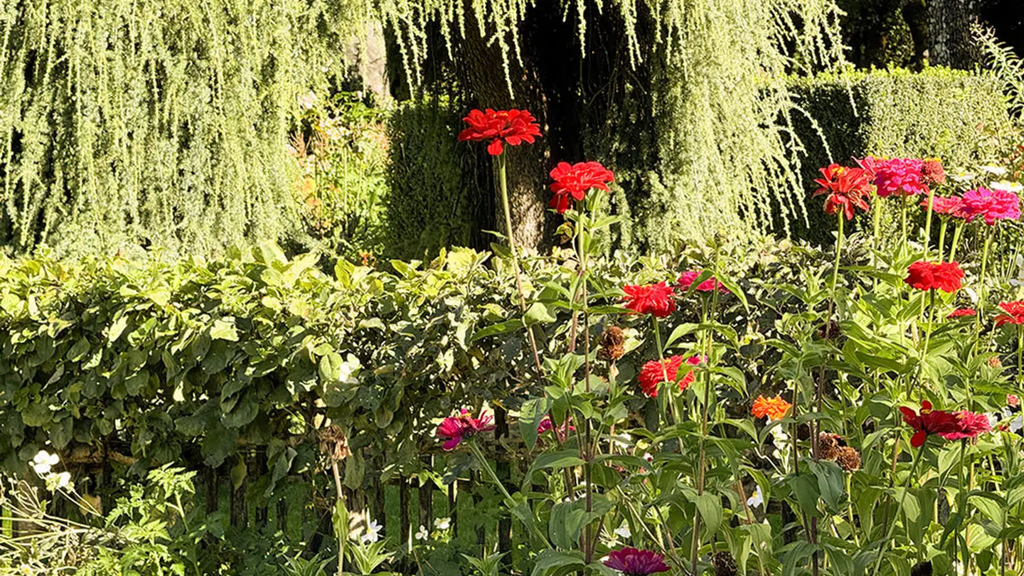 Villa for sale - 6300 Zug