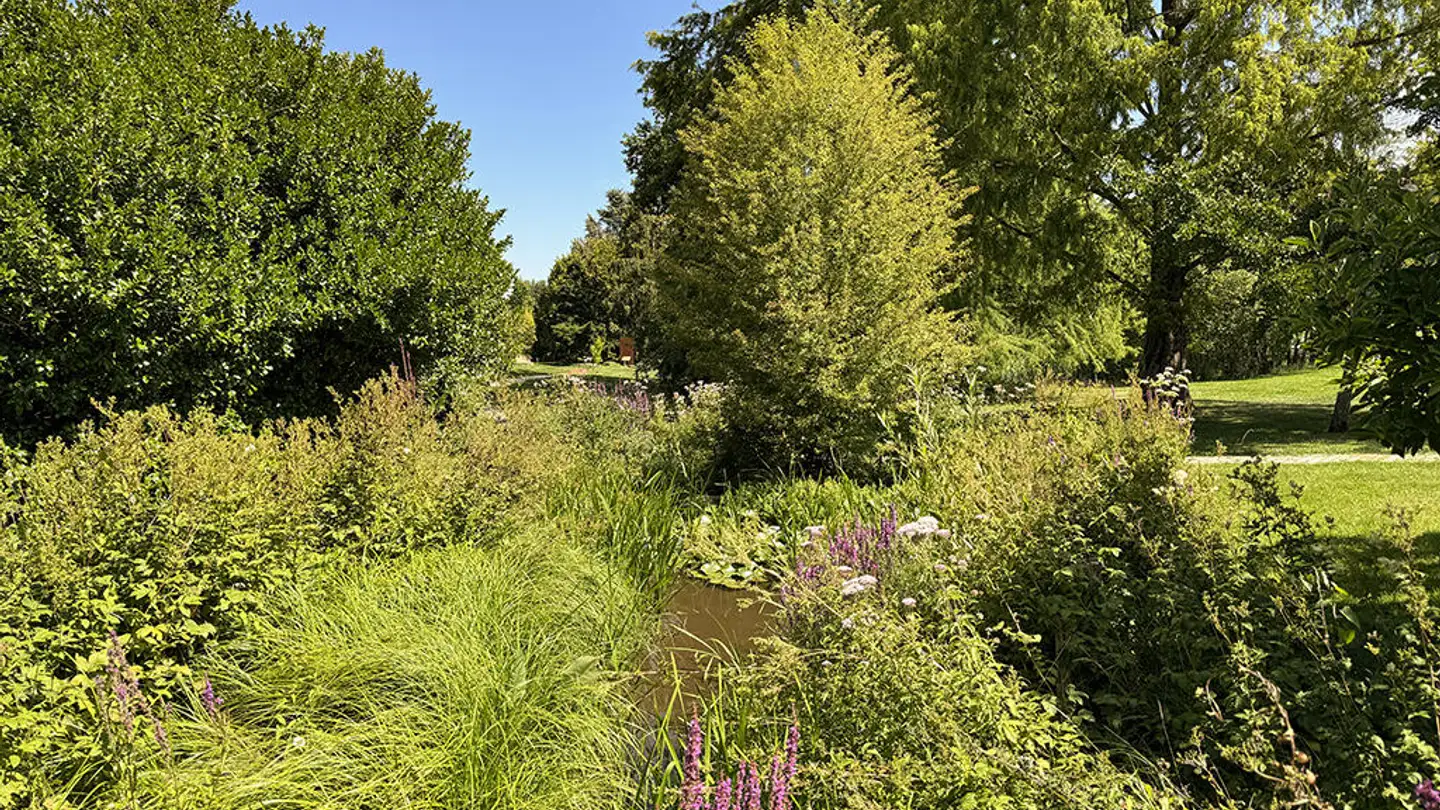 Villa for sale - 6300 Zug - Photo 3